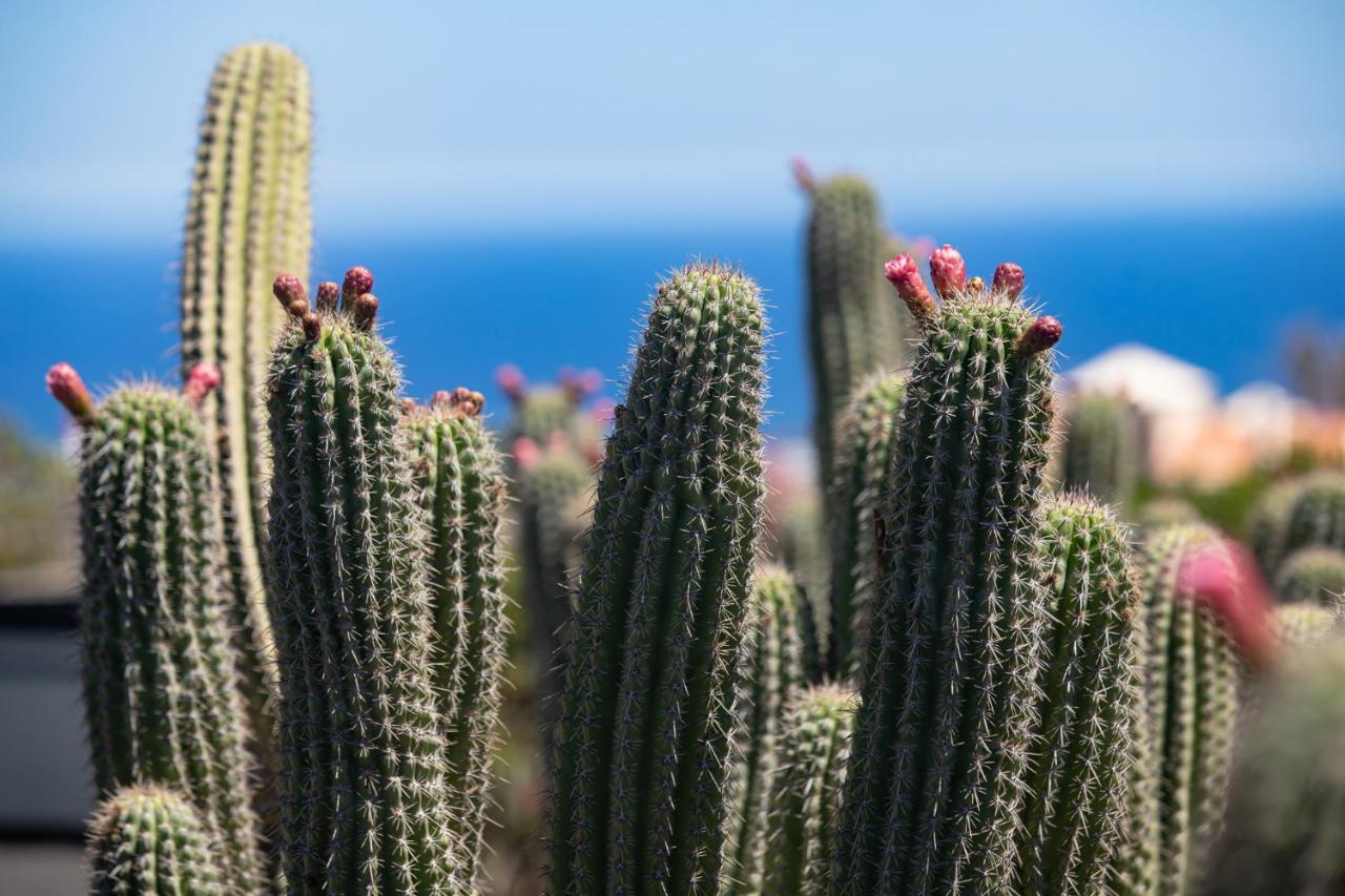 5 Lanzarote Allotjament i esmorzar Mácher